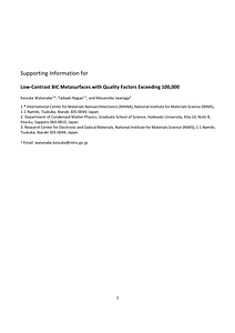 nl4c05880_si_001.pdf