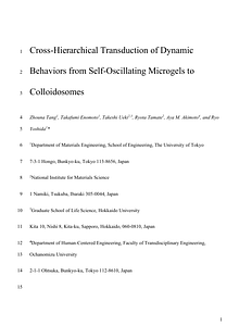 Tang paper.pdf