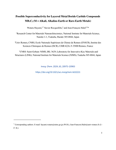 Inorg Chem_63_20975_2024_MDR.pdf