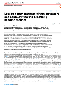 s41535-024-00654-2 (1).pdf