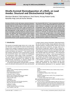 ChemNanoMat25_11_e202500270.pdf