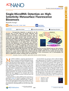 Iwanaga_ACSNano19(2025)38841.pdf