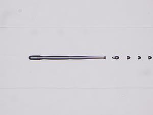 1101-280004.jpg