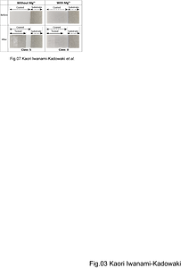 Fig.07-2.png
