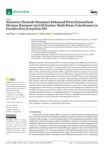 electrochem-05-00021-v2.pdf