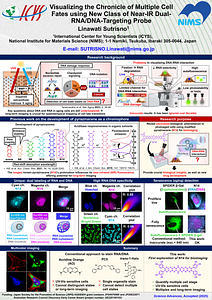 Poster.pdf