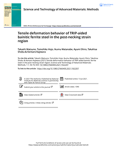 matsuno_STAM-M2021.pdf