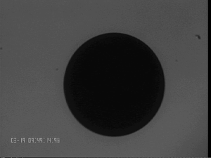 0319NiTi3ST#2.png