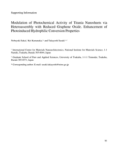 Supporting Information.pdf