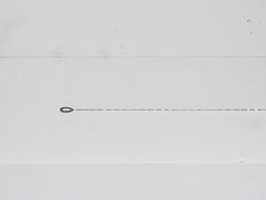 240007.jpg