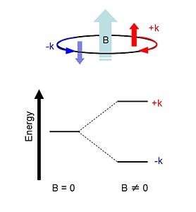 Fig.2-9.tif