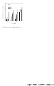 Fig.10.png