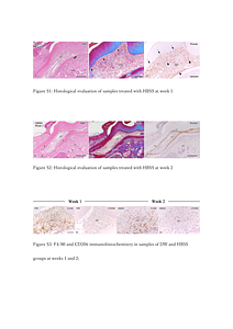 Effects of Synthetic Toll--2024-Quispe-Salced1.pdf