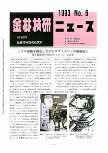 NRIMNews1993-06.pdf
