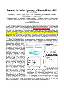 NDNC2025_abstract_MEMS　Gu.docx