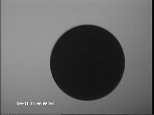 0317NiST#1.png