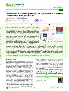 yamamoto-kikuta-2022-development-of-a-model-system-for-gas-cavity-formation-behavior-of-magnesium-alloy-implantation.pdf