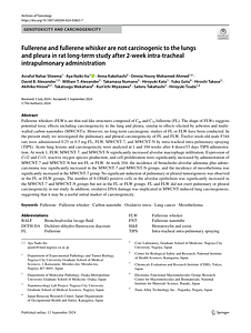 C60NWs_not carcinogenic_AT24.pdf
