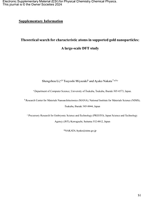 出版版：2024_PhysChemChemPhys_26_20251_SI.pdf