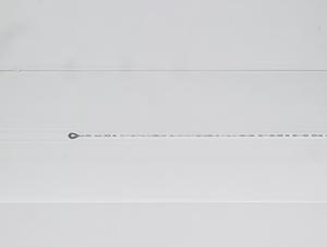 190004.jpg