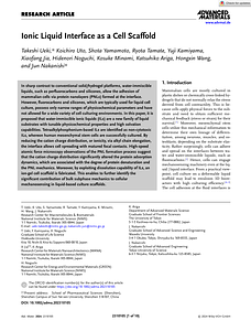 Advanced Materials - 2024 - Ueki - Ionic Liquid Interface as a Cell Scaffold.pdf
