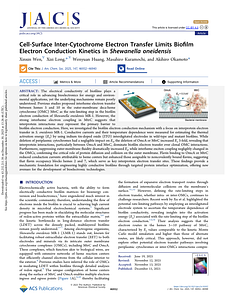 Xinxin Long 2025 JACS cell-surface-inter-cytochrome-electron-transfer-limits-biofilm-electron-conduction-kinetics-in-shewanella-oneidensis.pdf