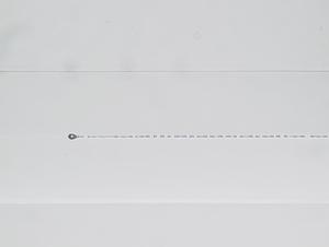 100001.jpg