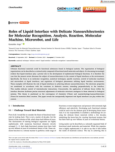 ChemNanoMat26_12_e202500514.pdf