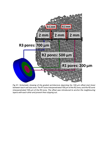 BiomaterAdvances163(2024)213955_supplementary Figure1.pdf