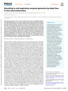 tokunou-et-al PNAS2025-decoding-in-cell-respiratory-enzyme-dynamics-by-label-free-in-situ-electrochemistry.pdf