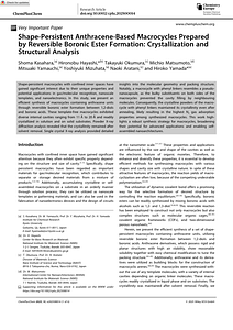 ChemPlusChem.pdf