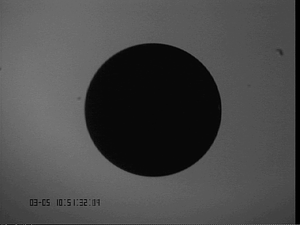 0305ZrFe23-9#1.png