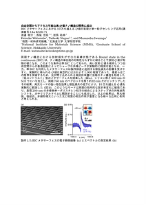 PN32_BIC_KWatanabe_MDR.docx