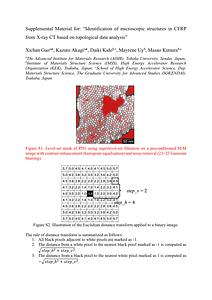 Supplementary_Information.pdf