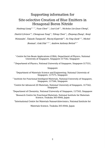2025A00624G_SI.docx