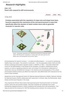 [Vol. 12]Heart cells respond to stiff environments_ WPI-MANA.pdf
