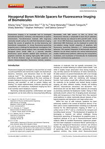 ChemNanoMat - 2024 - Yang - Hexagonal Boron Nitride Spacers for Fluorescence Imaging of Biomolecules.pdf