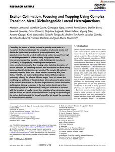 Advanced Optical Materials - 2024 - Lamsaadi - Exciton Collimation  Focusing and Trapping Using Complex Transition Metal.pdf