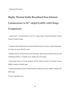 SI_LaAlO3_Ni_NIR.pdf