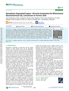 23-Strijevskaya-ACSApplMater-15-23299-23305.pdf