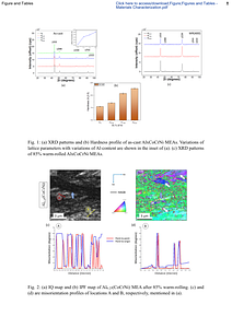 20231221Saha-MaterCharact-MDR.pdf