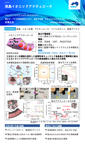 Nanotech2025_ポスターフォーマット_NIMSブース用_吉尾正史.pptx
