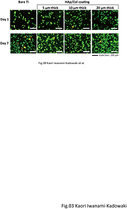 Fig.08.png
