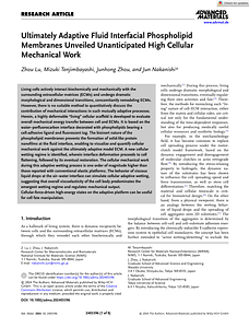 adma202403396.pdf
