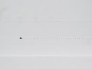 190005.jpg