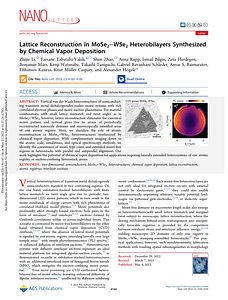 acs.nanolett.2c05094.pdf
