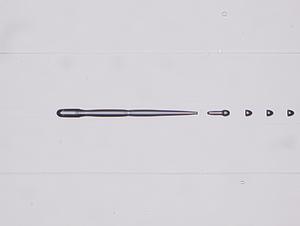 1102-030039.jpg