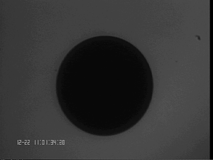 1222CoSi1#10.png