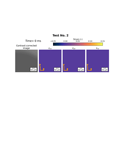 SupplementalVideo2.gif