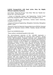 Nanoscale Horizon Accepted version.docx